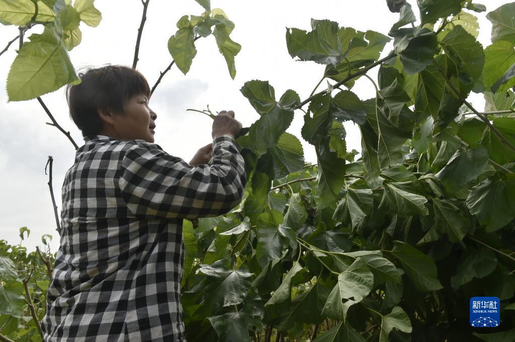 捕鱼达人3老版本免费
